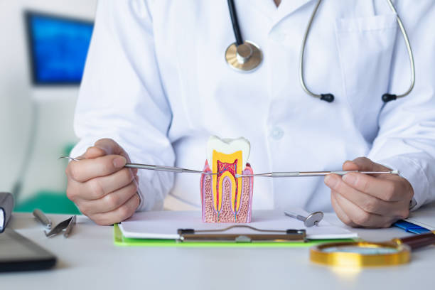 Best Pediatric Emergency Dentist in Island Lake, IL